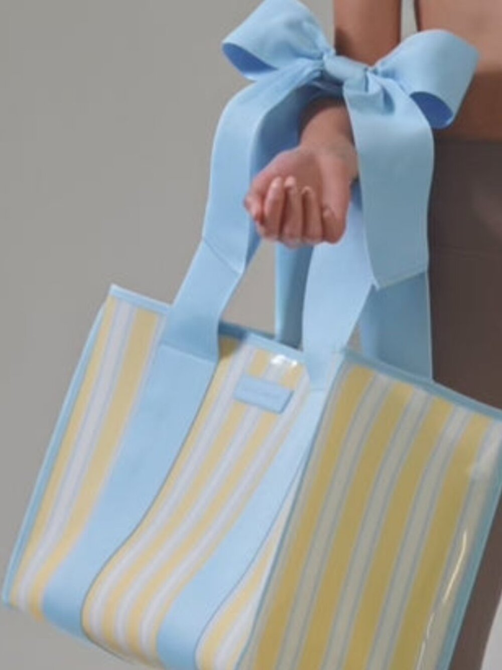 Case-Mate Cabana Striped Blue Bow Jelly Tote Waterproof Beach Bag Gym Travel NWT - Picture 8 of 8